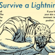 Illustration for article titled How to Survive Getting Struck by Lightning